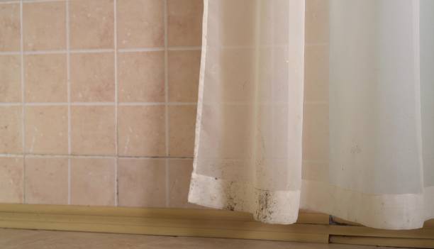 Best Emergency Mold Remediation  in Grand Ronde, OR
