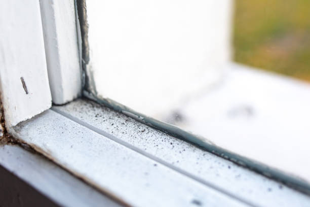 Mold Odor Removal Services in Grand Ronde, OR