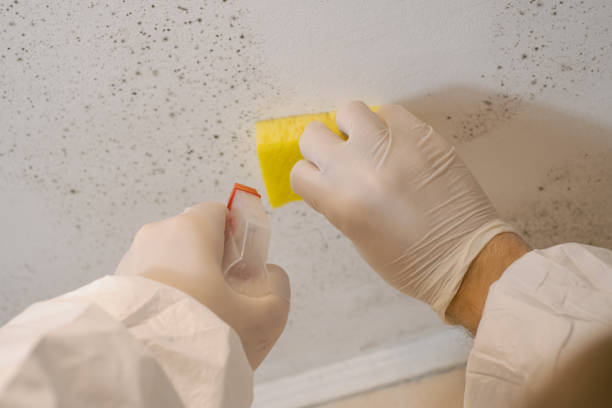 Best Real Estate Mold Inspection  in Grand Ronde, OR