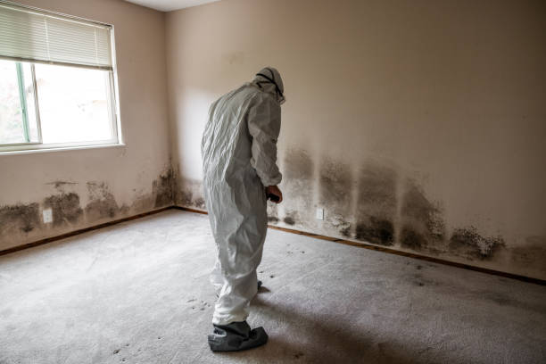 Best Biohazard Mold Removal  in Grand Ronde, OR
